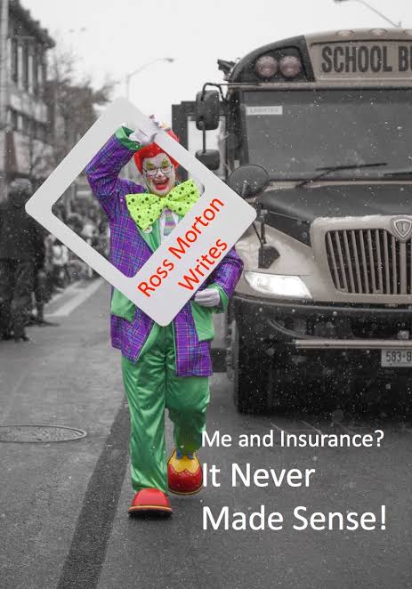 It Never Made Sense! book cover